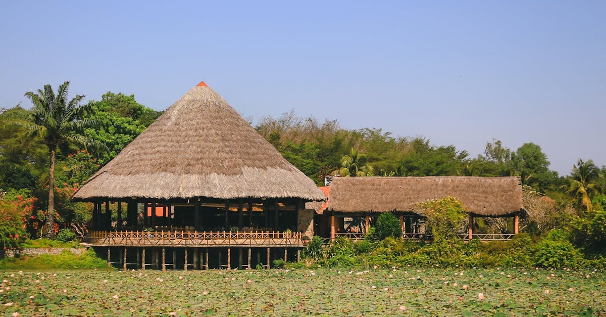 Ngôi nhà mái lá bên ao sen xanh mát yên bình, điểm đến ít đông đúc khi day trip từ Hồ Chí Minh.