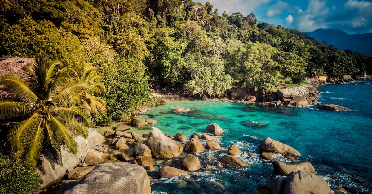 شاطئ بو فالون في سيشيل بنخيله ومياهه الفيروزية خلال موسم الأمطار الذي يؤثر على أفضل شهر للزيارة