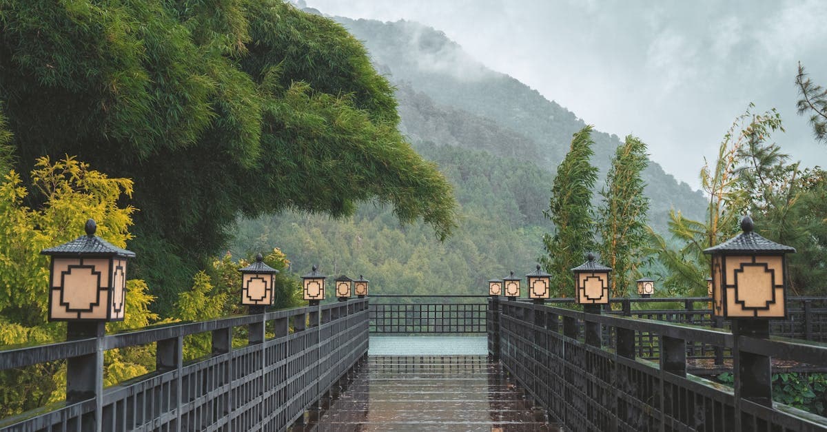 Cuaca Jepang Sepanjang Tahun: Panduan Lengkap untuk Wisatawan Indonesia - eSIM travel guide by HelloRoam