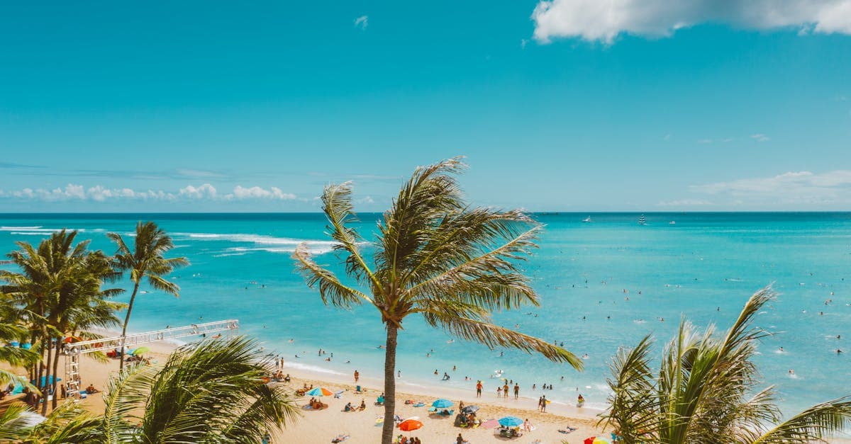 月別のハワイ天気変化を理解するのに役立つ、活気あるビーチの風景を映した航空写真。