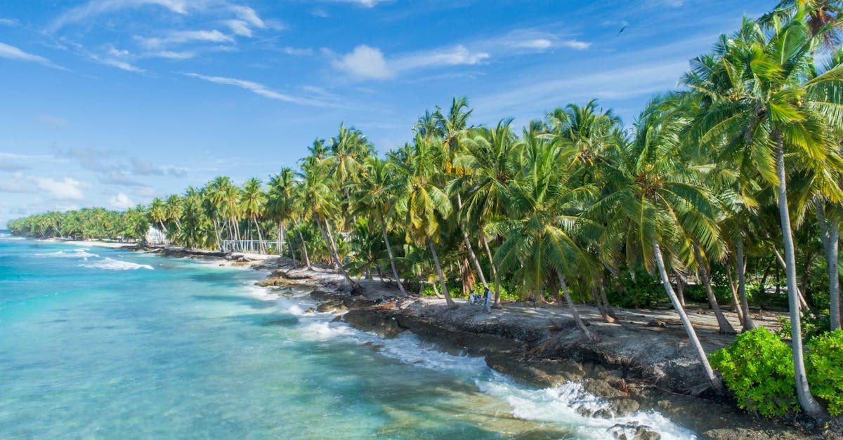 Maldives coastline with palm trees where travel eSIM cards keep Indian tourists connected abroad affordably