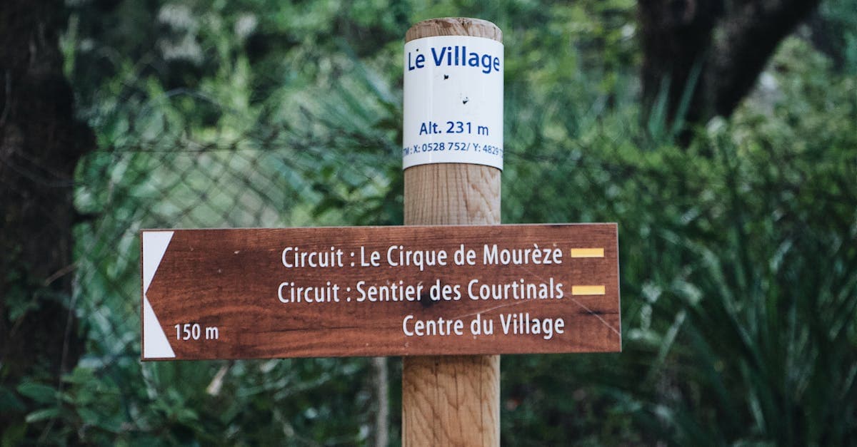 Panneau indicateur en forêt, métaphore des limitations cachées en throttling et autonomie des boitiers wifi portables