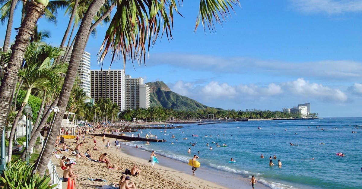 ハワイ天気が最高の時期にワイキキビーチで過ごす観光客たちの、明るく活気ある風景。