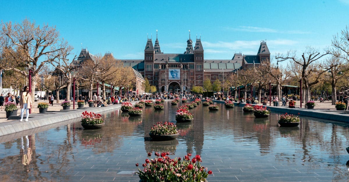 Rijksmuseum Amsterdam with tulip planters and pond in spring, Europe's most vibrant travel season