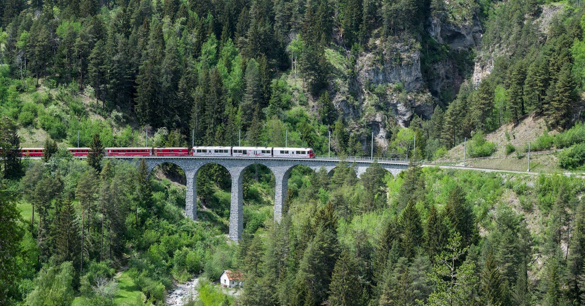 Treno sul viadotto Landwasser in Svizzera, tappa da pianificare per viaggiare da soli con un budget realistico.