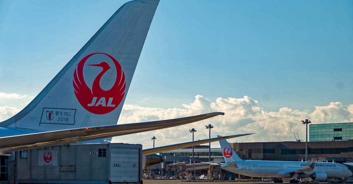 Japan Airlines aircraft lined up on the tarmac — run your NZ SIM and esim japan simultaneously