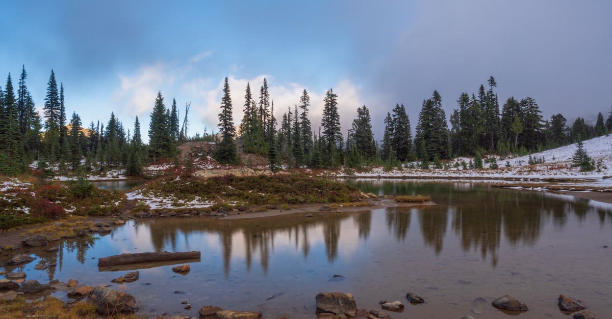 Serene lake with tall trees reflected, creating a picturesque landscape in Naches, WA.