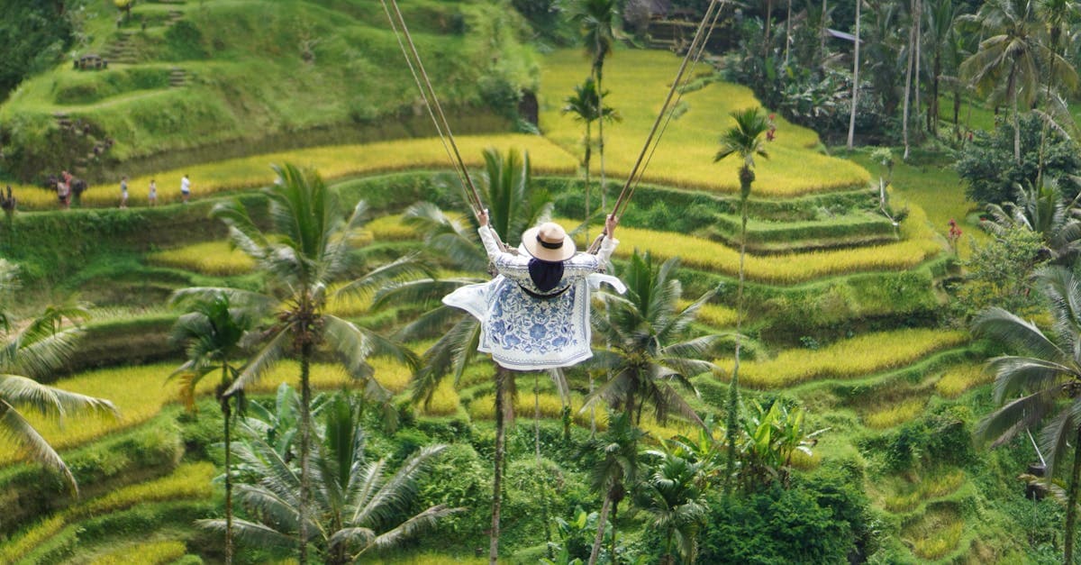 Traveller swinging above verdant rice terraces in Ubud, showcasing the best time to visit Bali for exploration