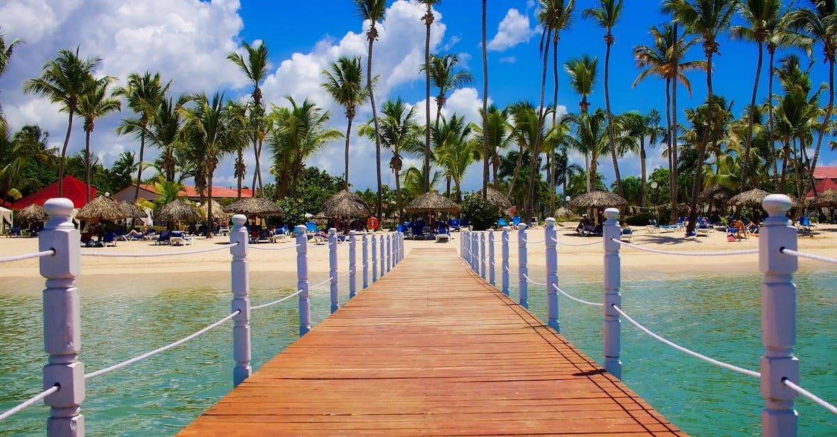 Ponton en bois menant à une plage tropicale avec palmiers et eaux cristallines à l'île Saona