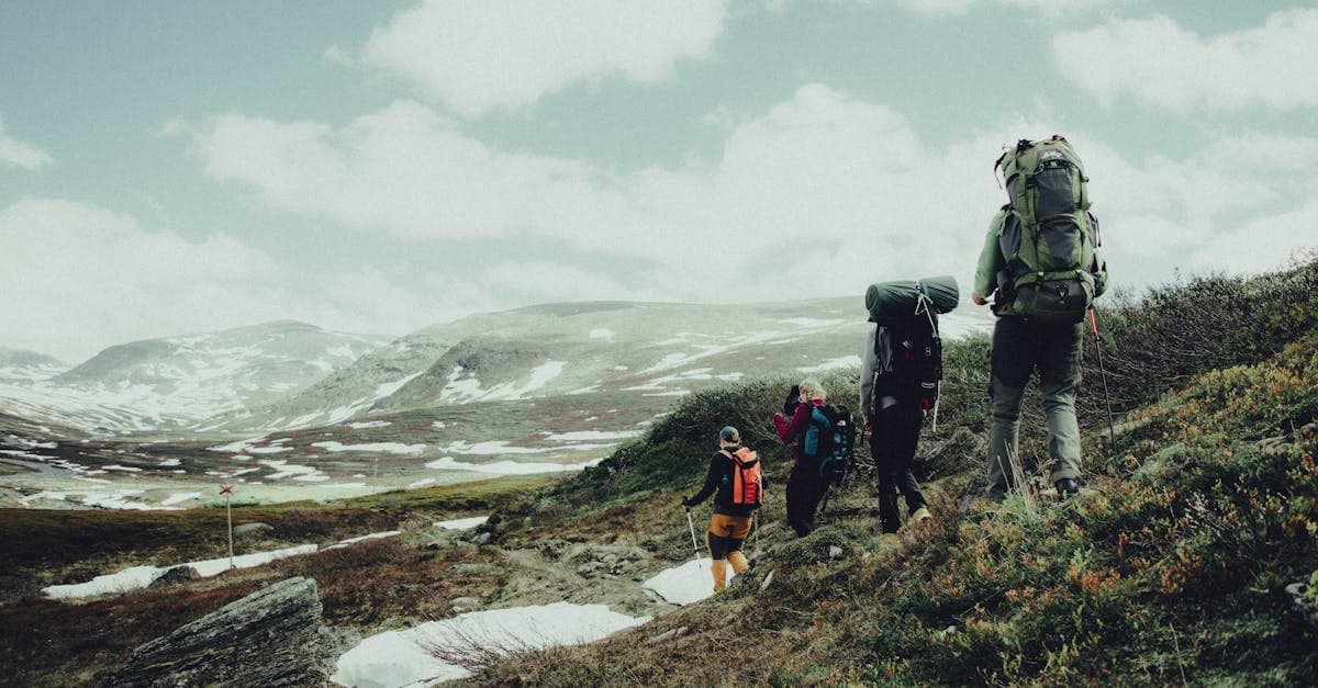 Vandrare med ryggsäckar trekkar genom svenska fjäll och väljer rätt travel bag för sin tur.