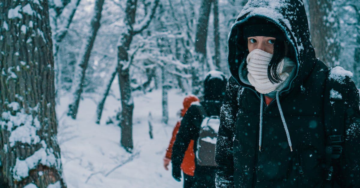 Nhóm du khách mặc ấm khám phá rừng tuyết Hàn Quốc tháng 12 tháng 1, nhiệt độ xuống thấp dưới 0 độ.