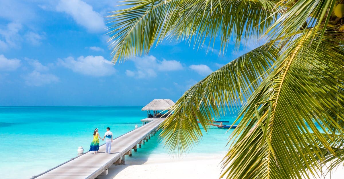Tropisk strand med palmetræer og turkisblåt hav — husk travel eSIM og rejsevacciner til eksotiske destinationer