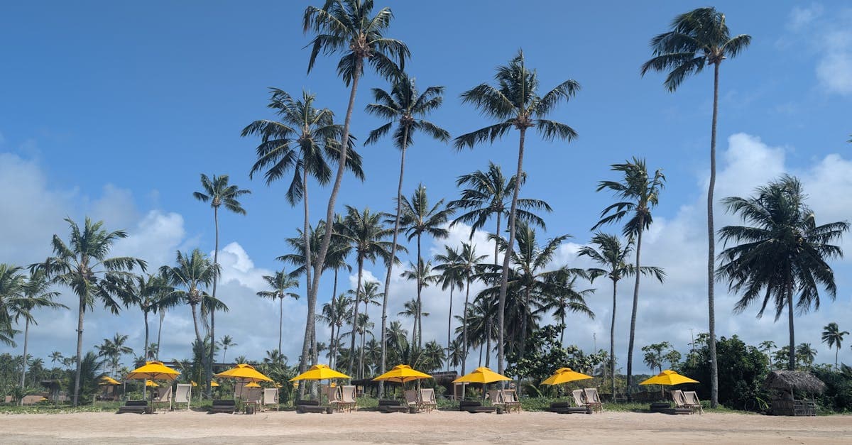 Kolorowe parasole na tajskiej plaży w słoneczny dzień w szczycie sezonu turystycznego.
